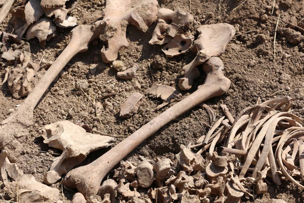 En acı sonuçlardan biri! Azerbaycan topraklarında yeni toplu mezarlar bulundu…