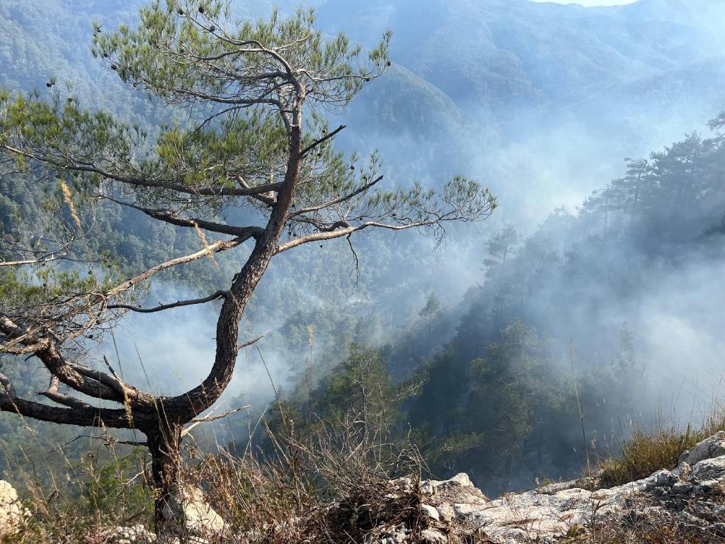 Hatay’da orman yangını! Havadan müdahale ediliyor…