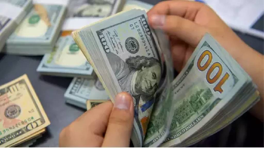 Sahte dolar iddialarına soruşturma