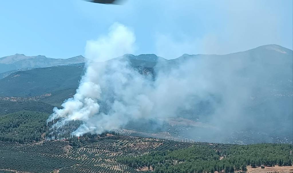 Hatay'daki ormanda yangın başladı