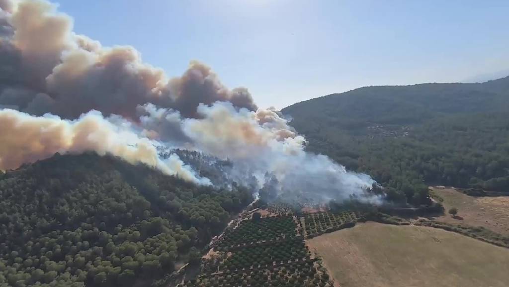 Bir ayda 3 orman yangını çıkaran çoban yakalandı