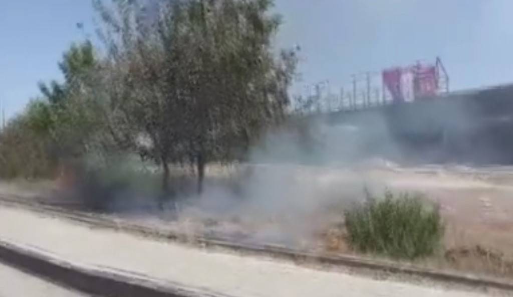 Yol kenarına atılan sigara izmariti yangın çıkardı
