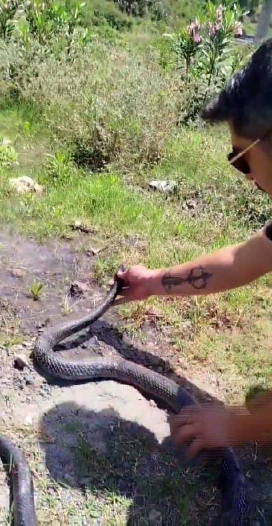 Hatay'da herkes korkarken o yılanlara fısıldıyor