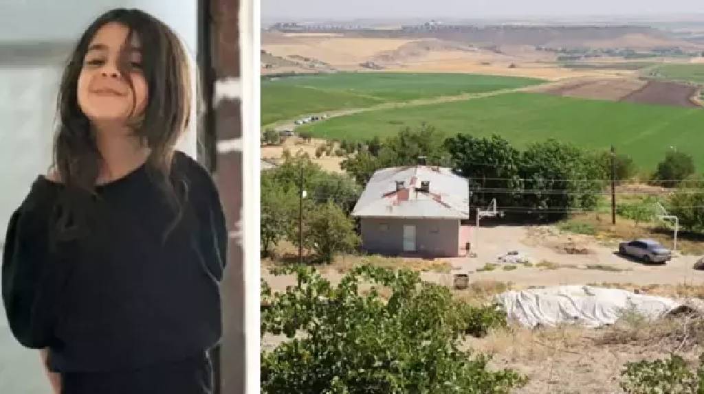Kayıp Narin soruşturmasında korkutan ihtimal: "Görmemesi gereken bir şeyi görmüş olabilir" 