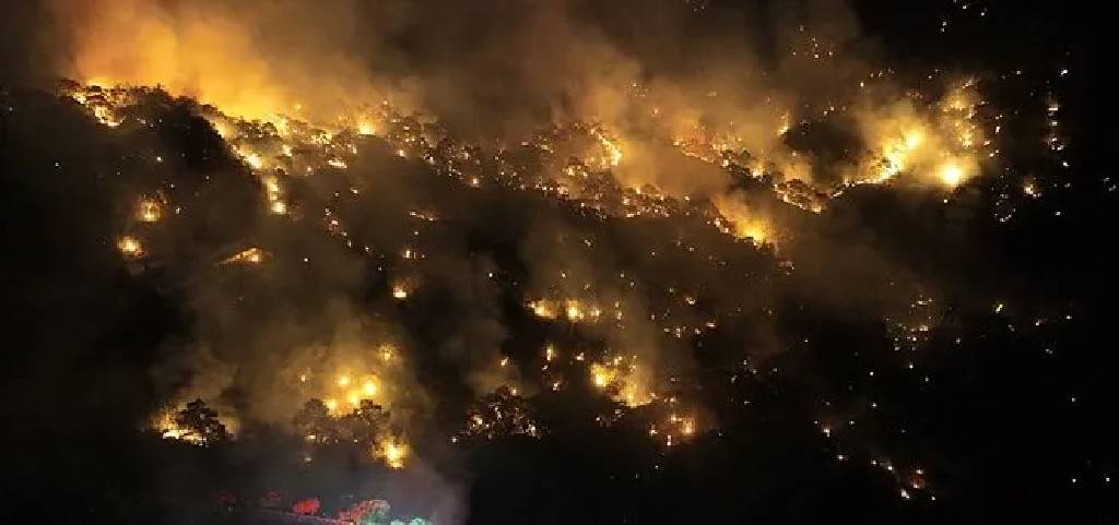 Alevlerle mücadele sürüyor! Orman yangınlarında çok sayıda tutuklama kararı