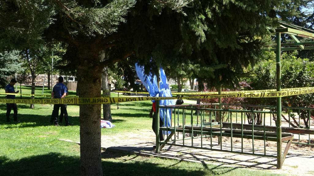 Parkta korku dolu anlar... Bunalıma giren şahıs kendini kamelyaya astı...