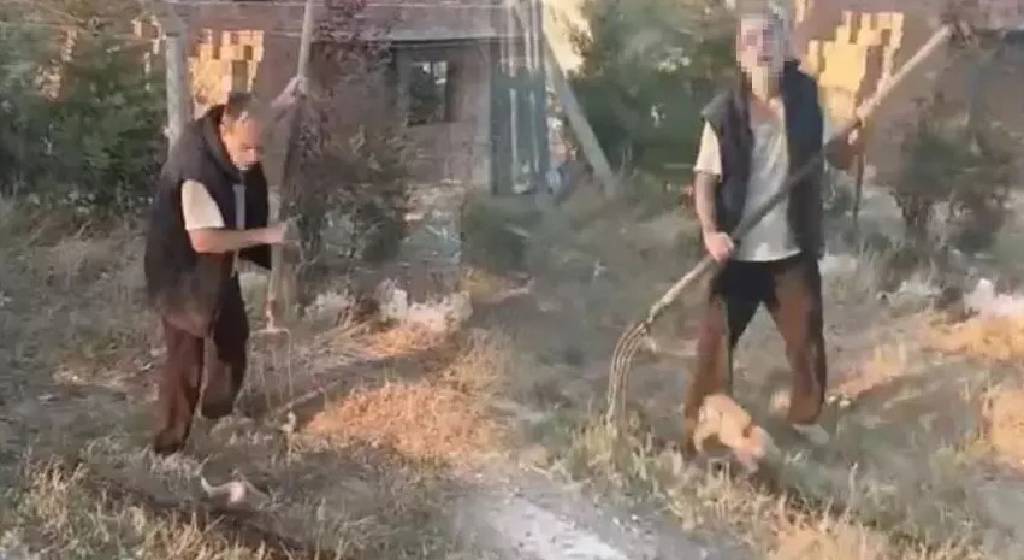 Ankara'da yavru köpeği dirgenle öldüren cani ‘deliyim’ diyerek, yırtmaya çalıştı