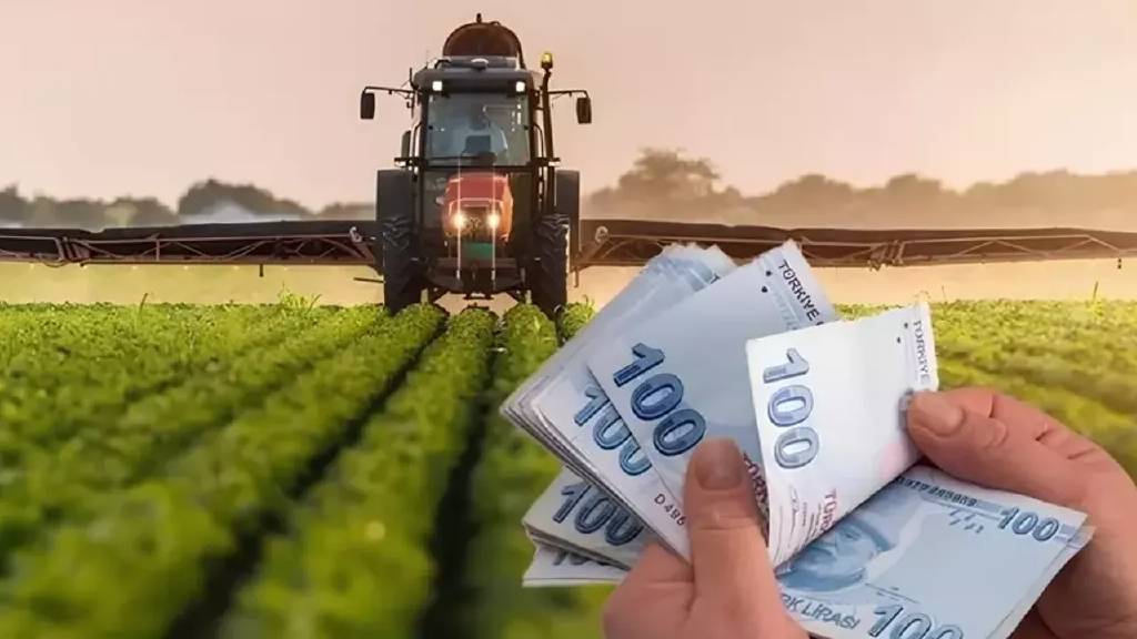 Çiftçilere tarımsal destek ödemeleri hesaplara yatırılıyor