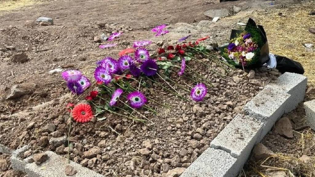 Narin Güran cinayeti soruşturması: Amcasının işçisi yeniden gözaltında