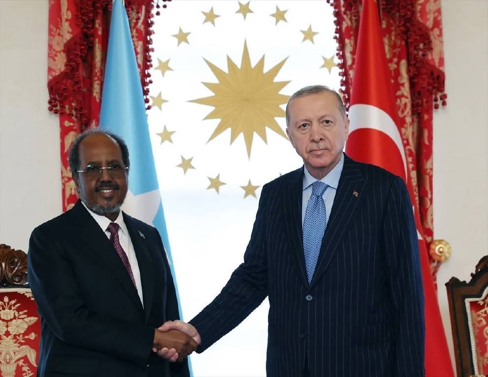 Cumhurbaşkanı Erdoğan, Somali Cumhurbaşkanı ile görüştü