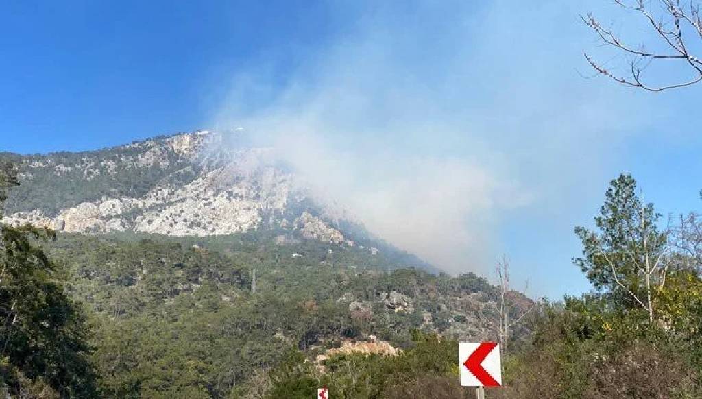 Antalya'da orman yangını kontrol altına alındı...