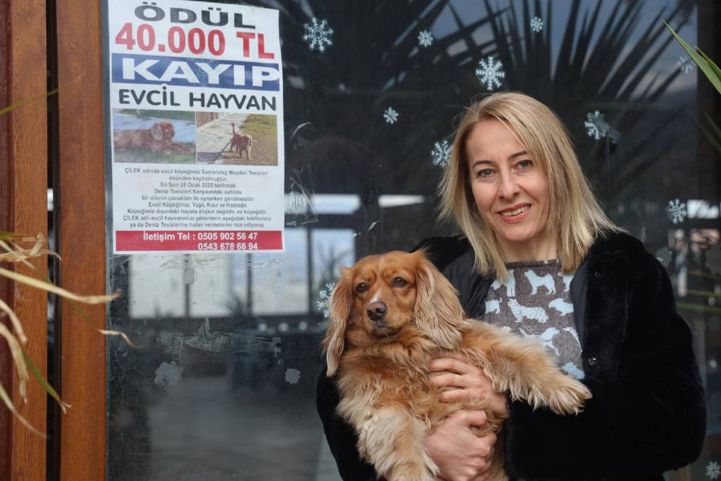 Sokak sokak afiş astı! Kayıp köpeği bulana 40 bin TL ödül...