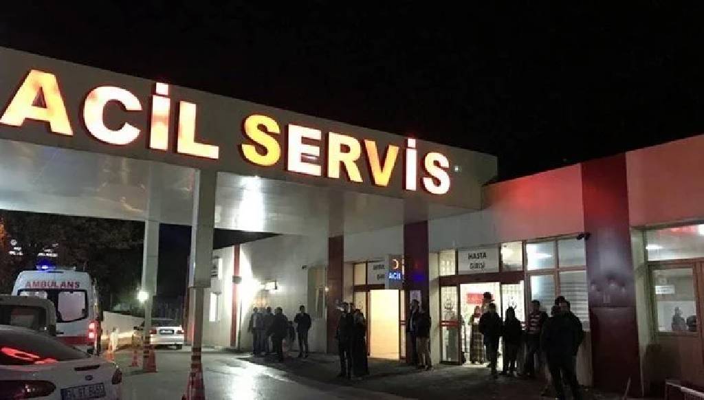 Sağlık Bakanlığı’ndan sahipsiz hayvanlar için yeni düzenleme