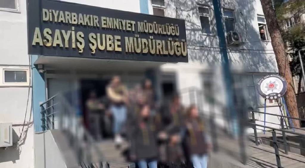 Diyarbakır'da Nevruz kutlamalarında hırsızlık yapan 14 kişi yakalandı