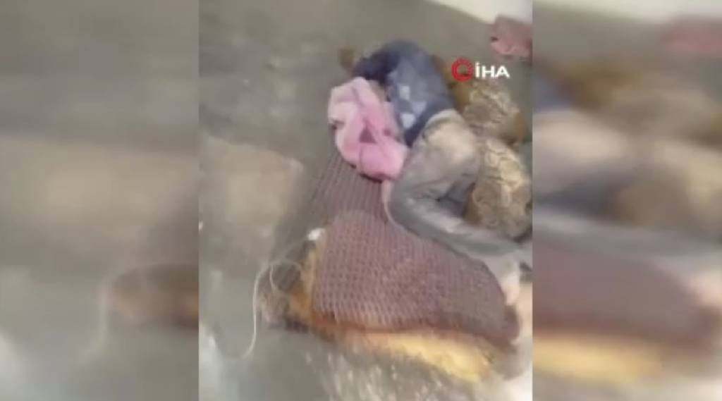 Batı Şeria'da, İsrailli yerleşimcilerden Filistinli aileye vahşi saldırı!
