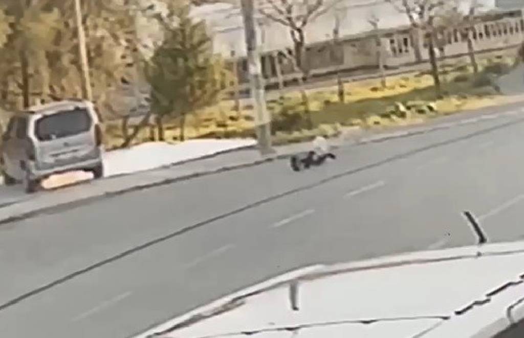 Yine sokak köpeği, yine çocuğa saldırı! 
