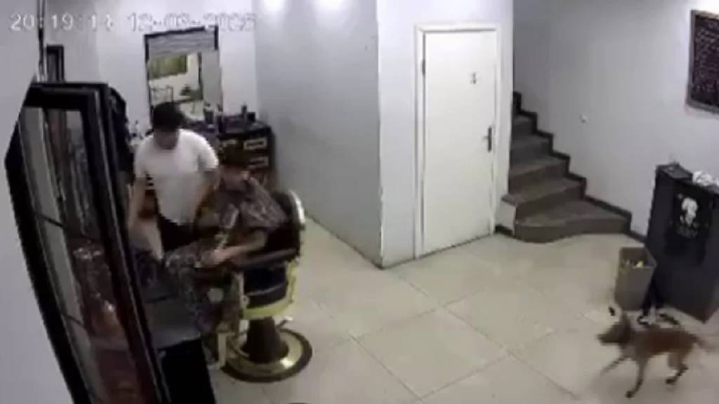 Zincirini koparan köpek kuaförde müşteriye ısırdı!