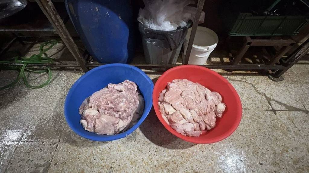Kilis'te döner imalathanesinde mide bulandıran görüntüler!