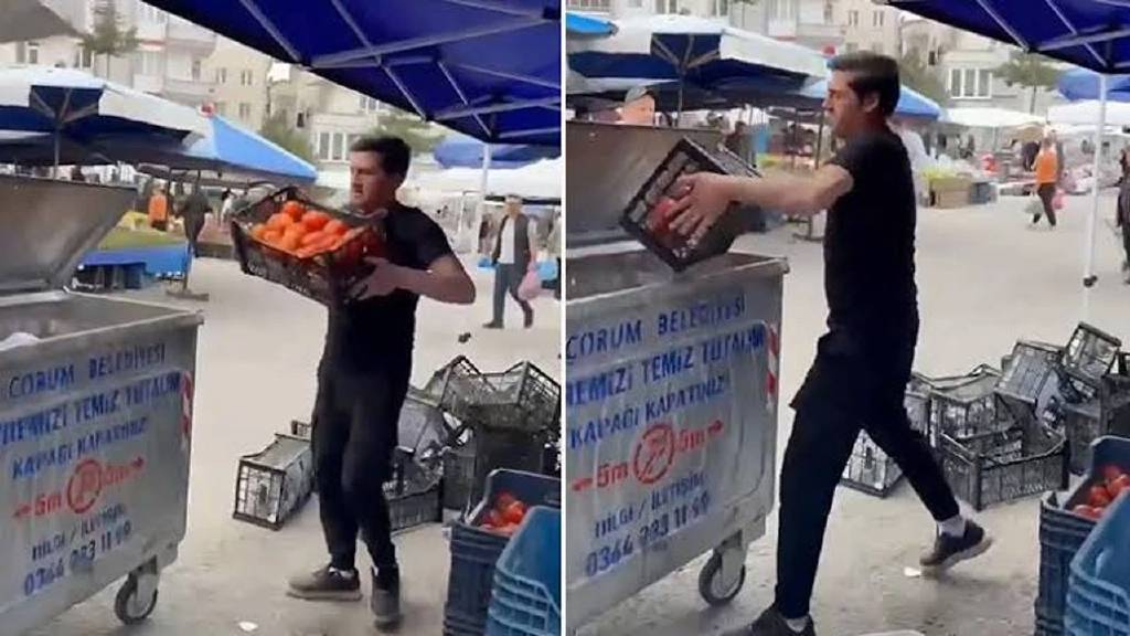 Belediye başkanına tepki gösteren esnaf domatesleri çöpe döktü! 10 kasa domatese 17 milyonluk ceza