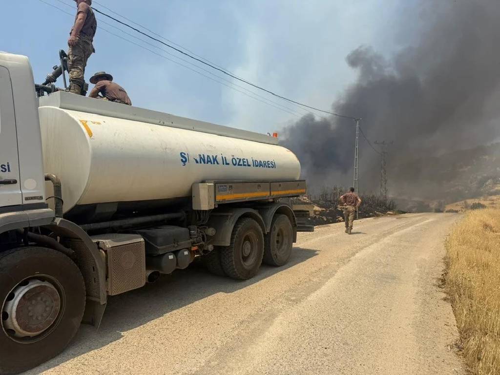 Şırnak'ta orman ve örtü yangını