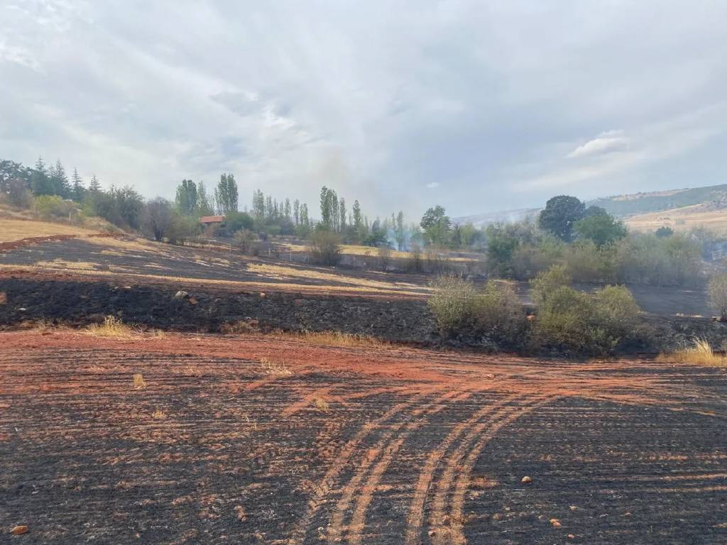 Çorum'da arazi yangını: 265 dönümlük arazi yandı