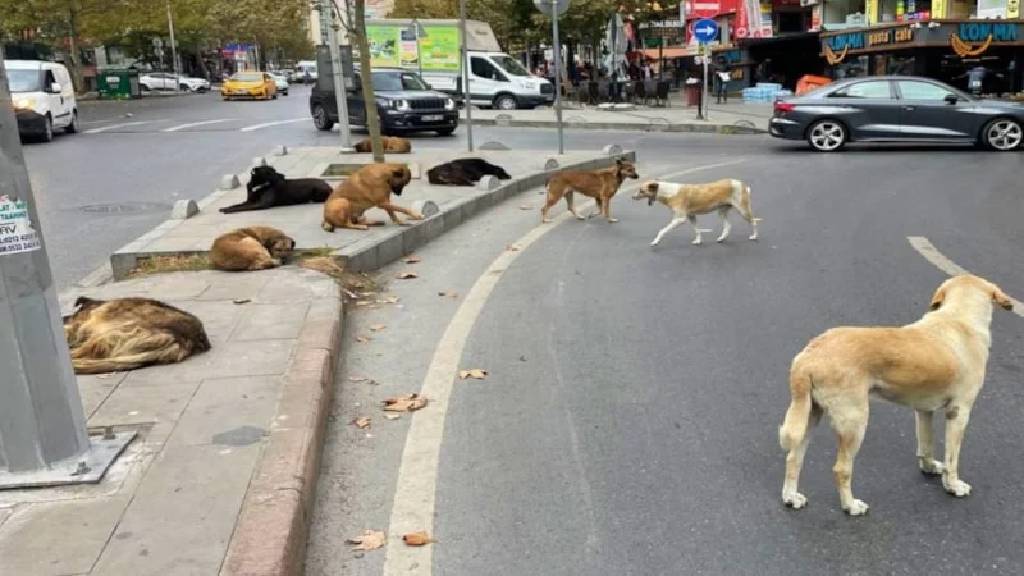 Çocuklara yönelik saldırılar için harekete geçildi